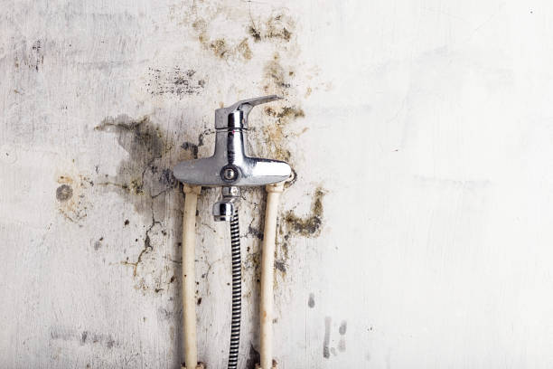 Mold Removal and Inspection in Pioneer Village, KY