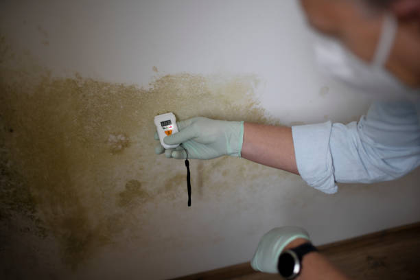 Best Commercial Mold Removal  in Pioneer Village, KY