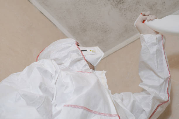 Best Office Mold Removal Services  in Pioneer Village, KY